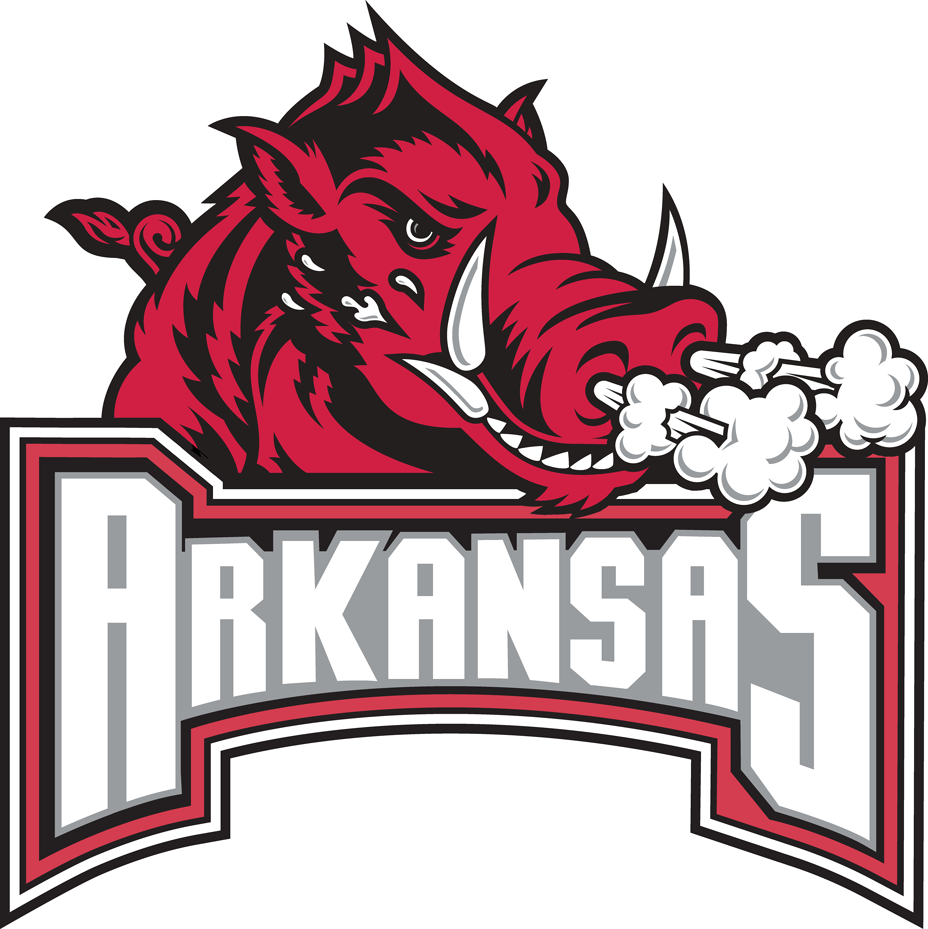 Arkansas Razorbacks 2001-2008 Secondary Logo diy DTF decal sticker